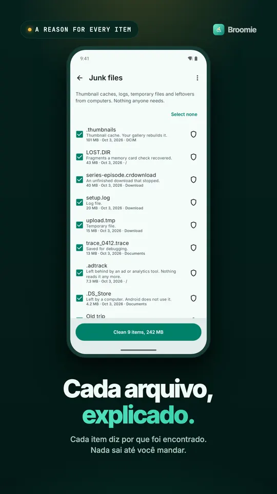 Lista de arquivos lixo em que cada item, como um cache de miniaturas, um log ou um download incompleto, tem uma linha dizendo por que foi encontrado