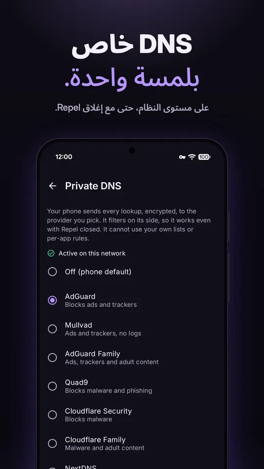 منتقي DNS الخاص مع تحديد AdGuard وخيارات Mullvad وAdGuard Family وQuad9 وCloudflare