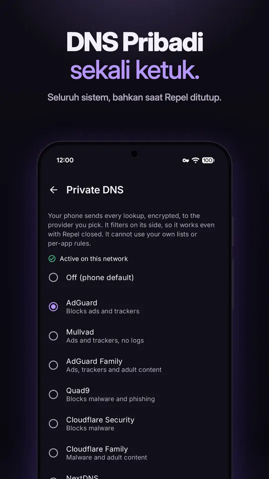 Pemilih DNS Pribadi dengan AdGuard dipilih dan pilihan Mullvad, AdGuard Family, Quad9, dan Cloudflare