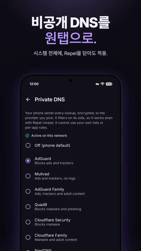 AdGuard가 선택되고 Mullvad, AdGuard Family, Quad9, Cloudflare 옵션이 있는 개인 DNS 선택 화면